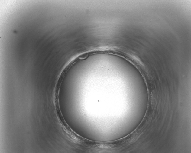 X0000068261412200605051737