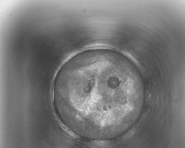 X0000068261413200605051737