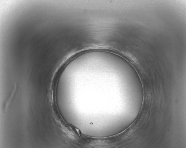 X0000068261414200605051737