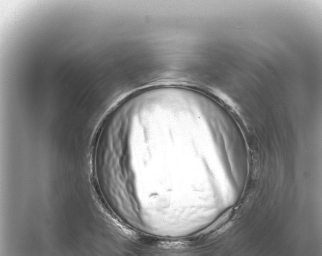 X0000068261415200605051737