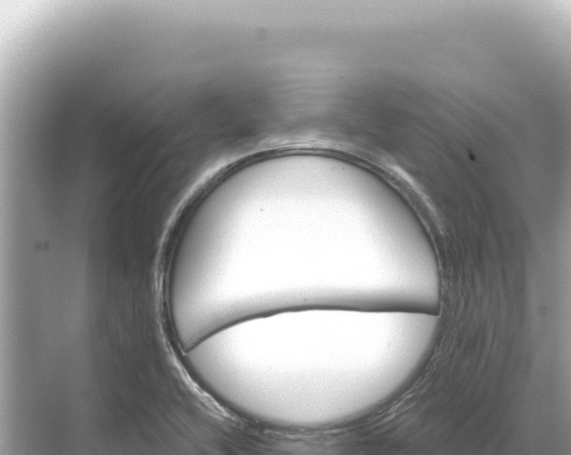 X0000068261416200605051737