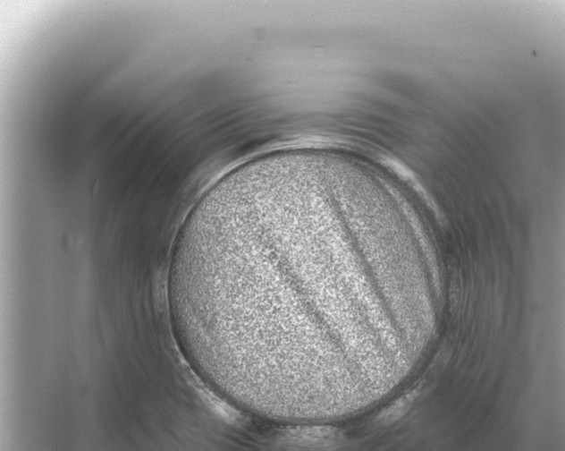 X0000068261417200605051737