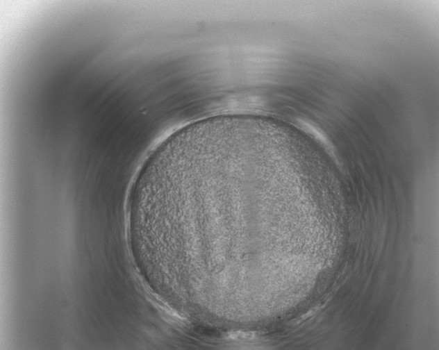 X0000068261419200605051737