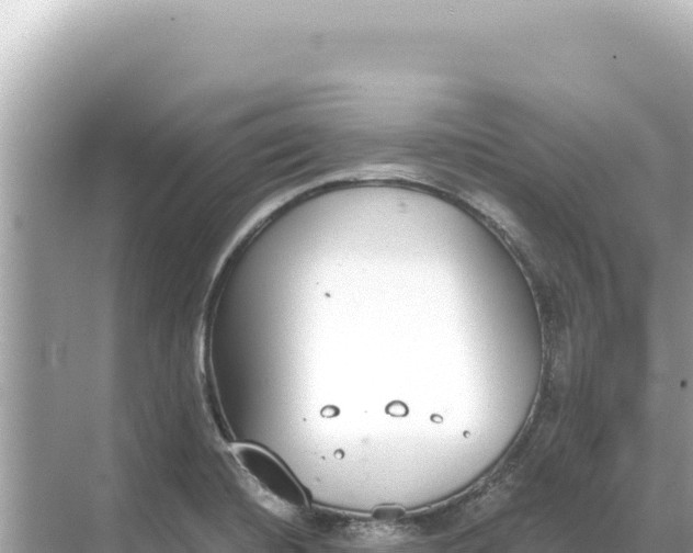 X0000068261420200605051737