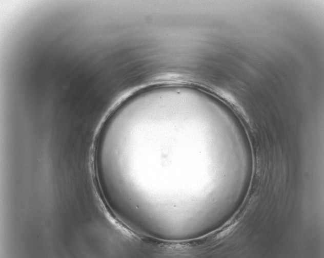 X0000068261421200605051737