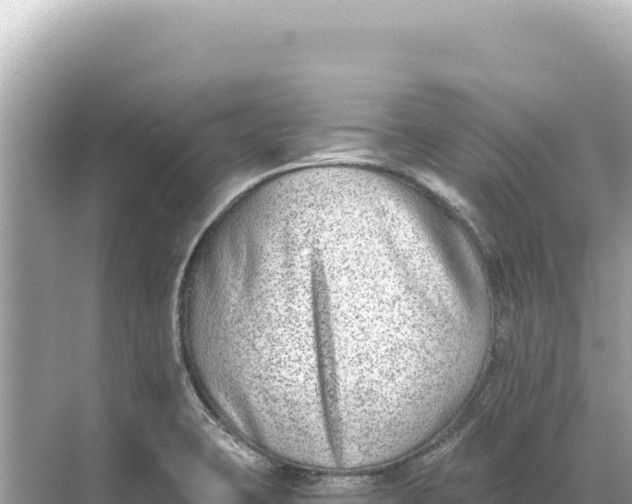 X0000068261423200605051737