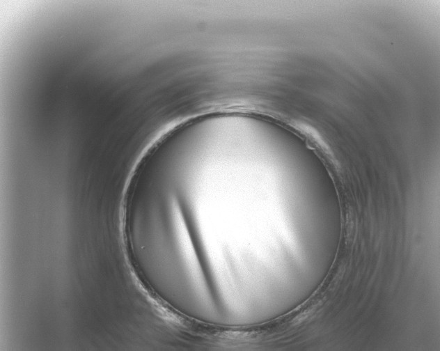 X0000068261424200605051737