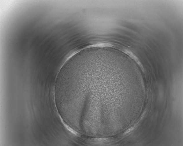 X0000068261425200605051737