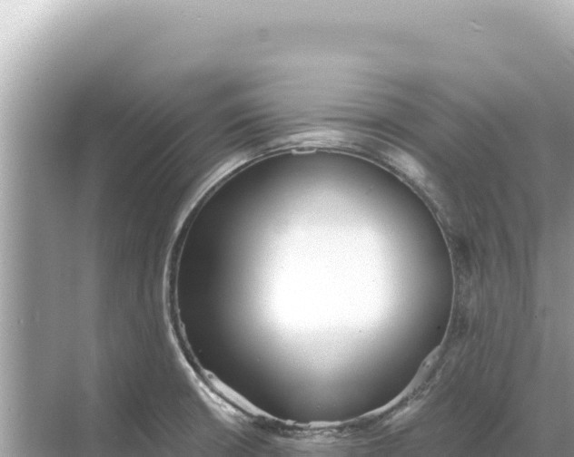 X0000068261426200605051737