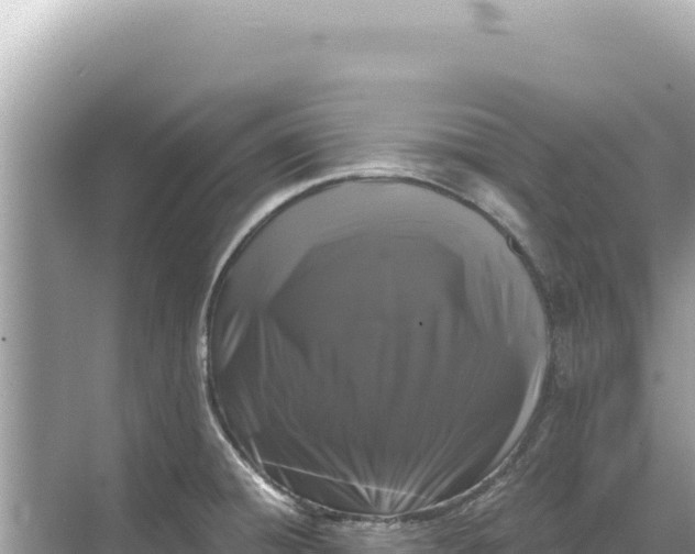 X0000068261428200605051737