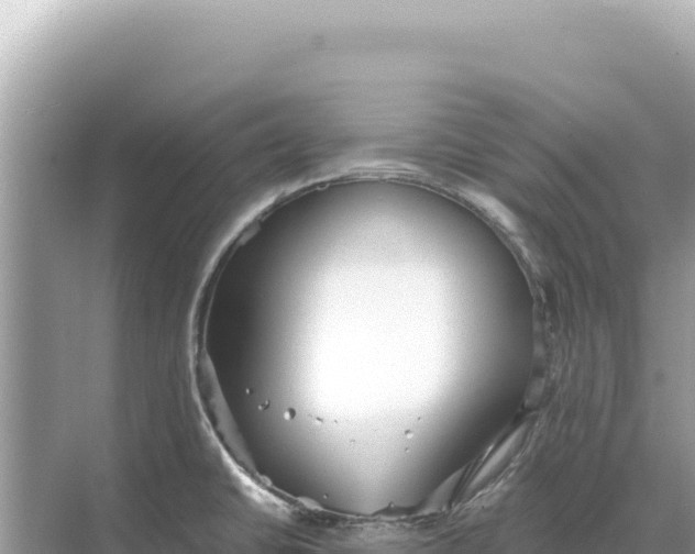 X0000068261430200605051737