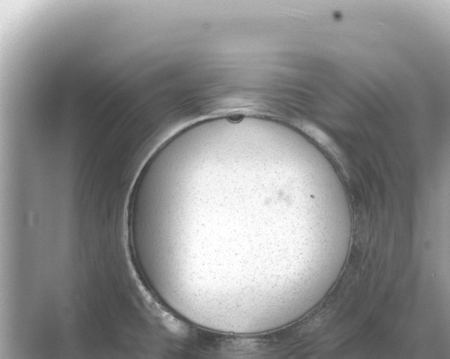 X0000068261431200605051737