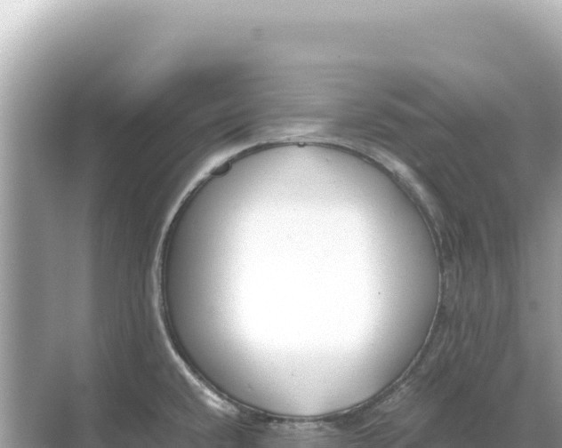 X0000068261432200605051738