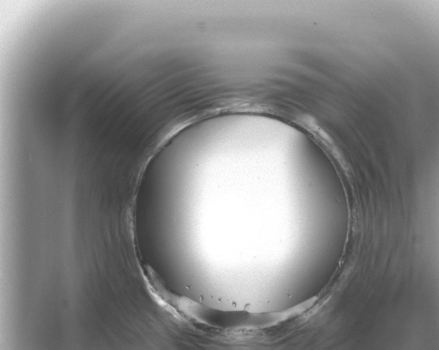 X0000068261433200605051738