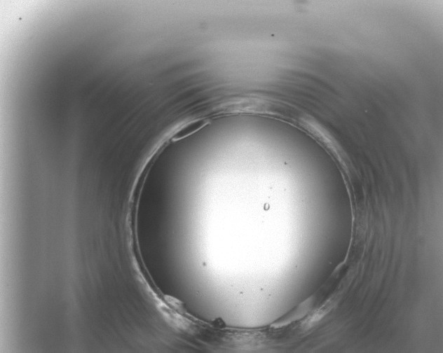 X0000068261434200605051738