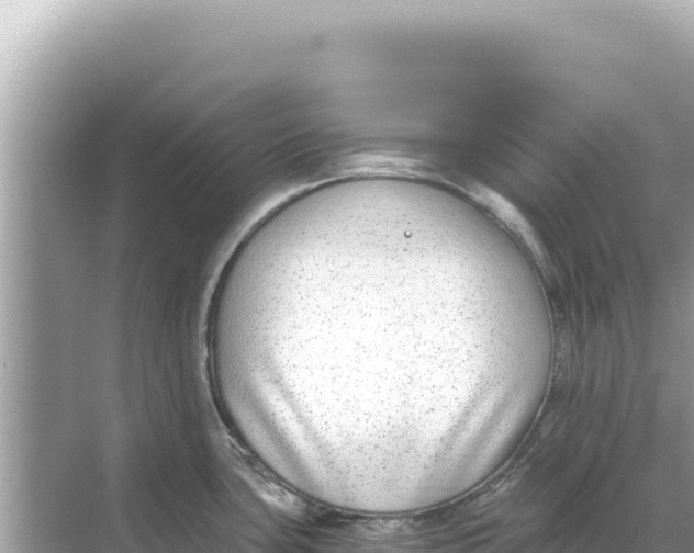 X0000068261435200605051738