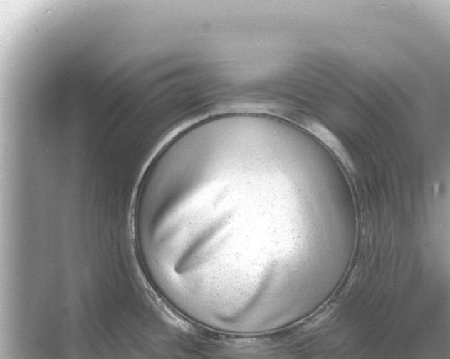 X0000068261436200605051738