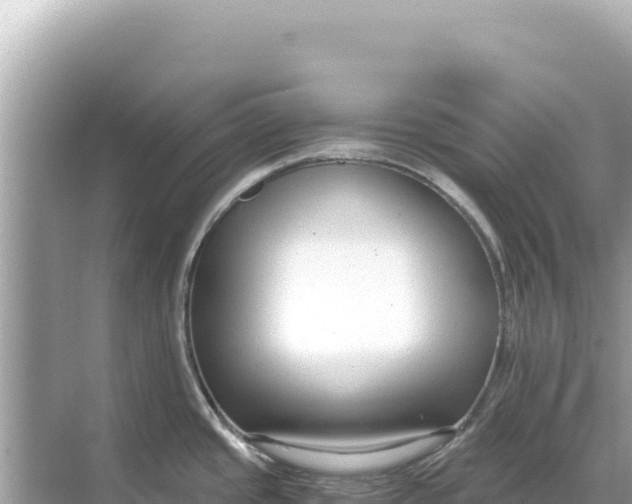 X0000068261437200605051738