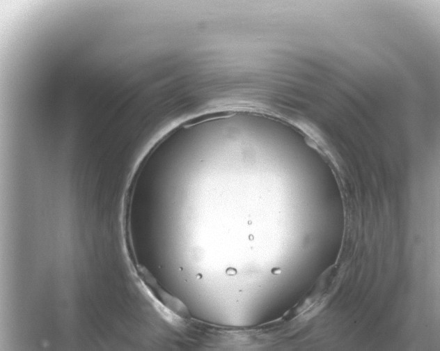 X0000068261438200605051738