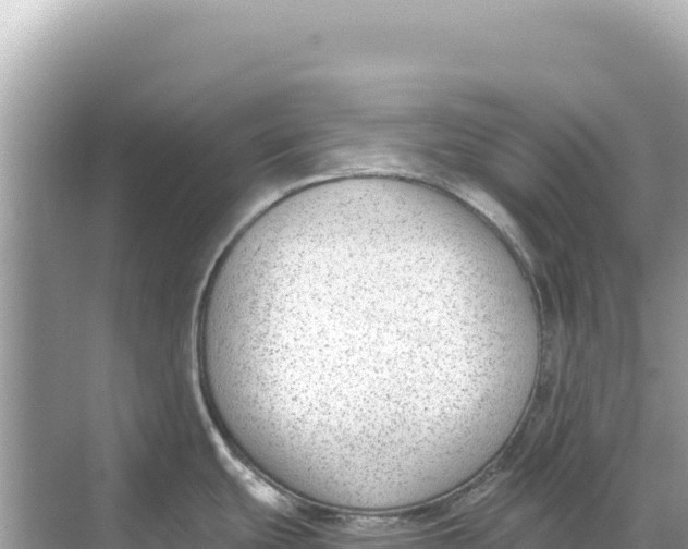 X0000068261439200605051738