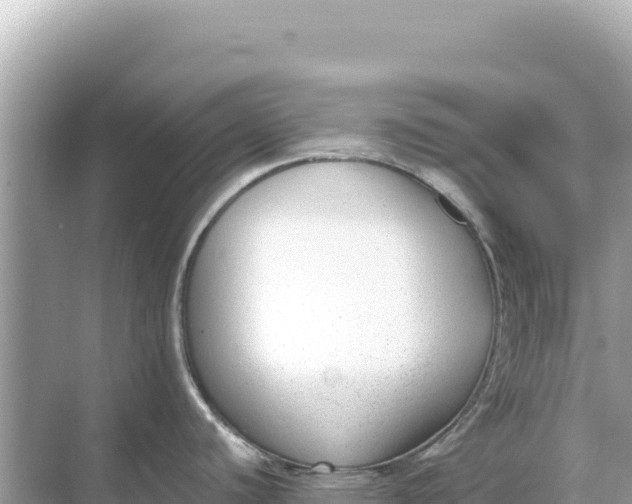 X0000068261440200605051738