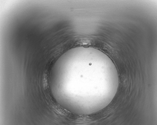 X0000068261442200605051737