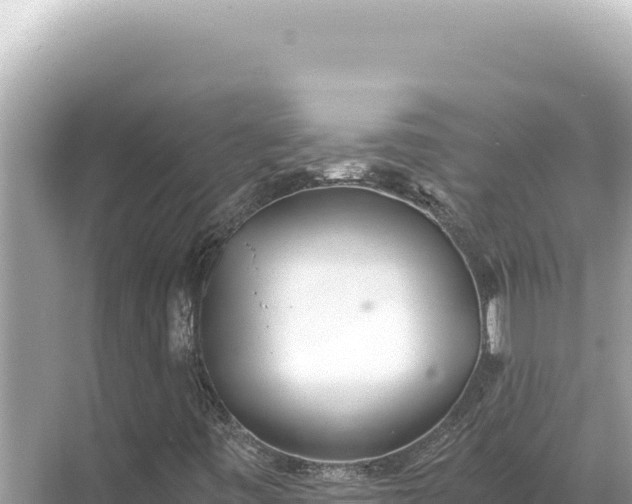 X0000068261443200605051737