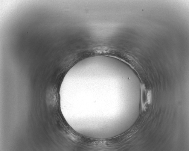 X0000068261444200605051737