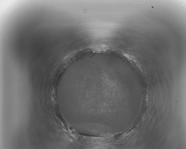 X0000068261445200605051737