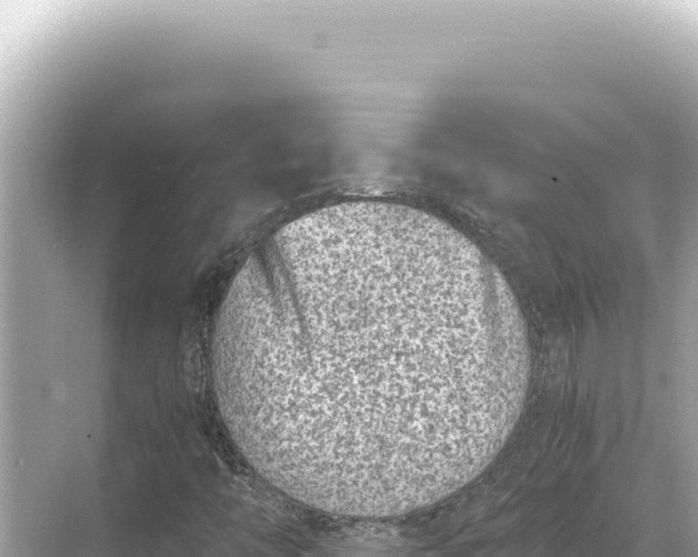 X0000068261446200605051737