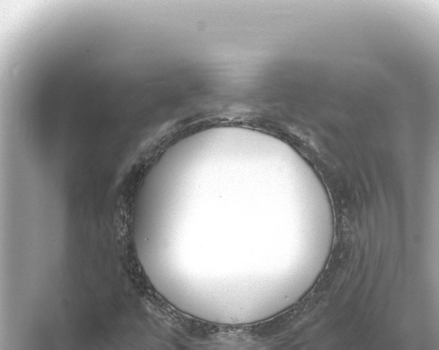 X0000068261447200605051737