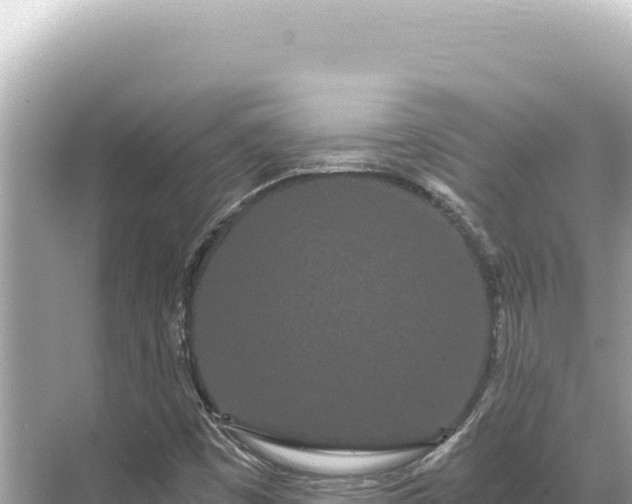 X0000068261449200605051737