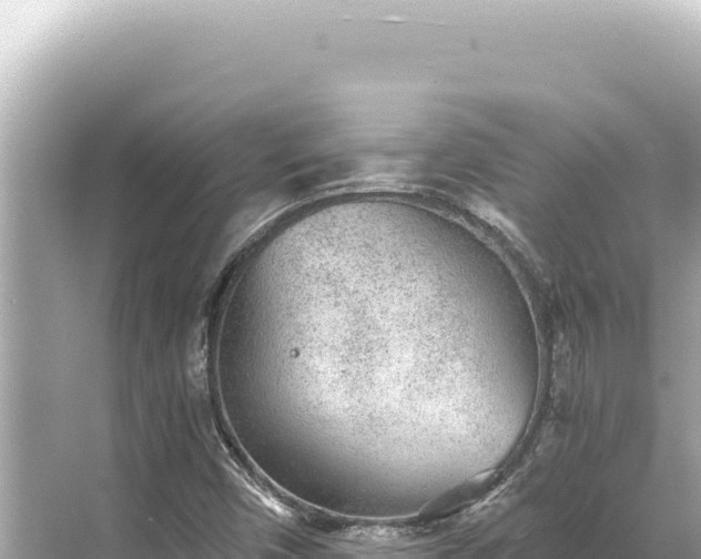 X0000068261450200605051737