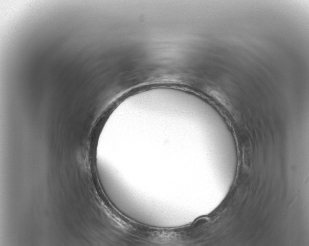 X0000068261452200605051737