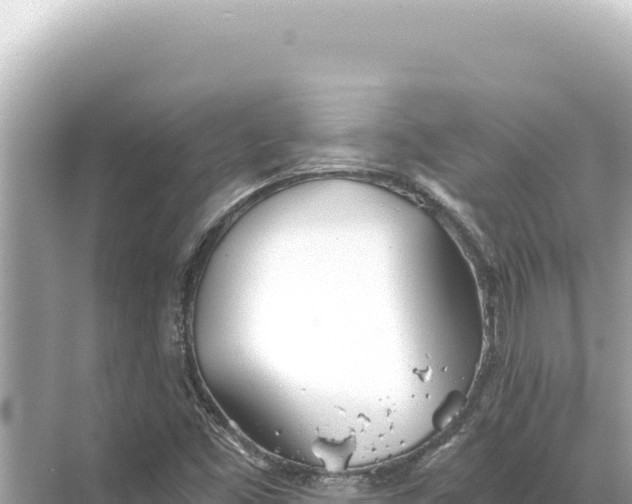 X0000068261453200605051737