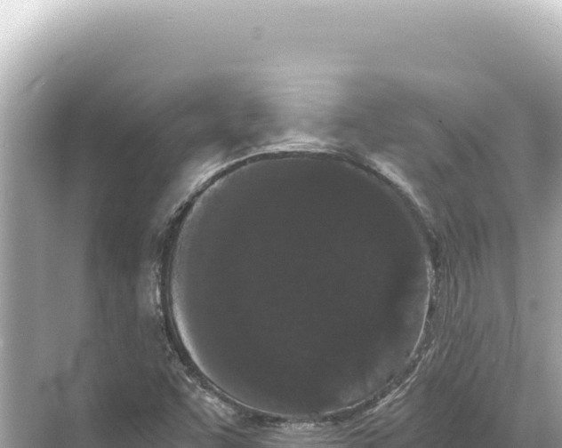 X0000068261455200605051737