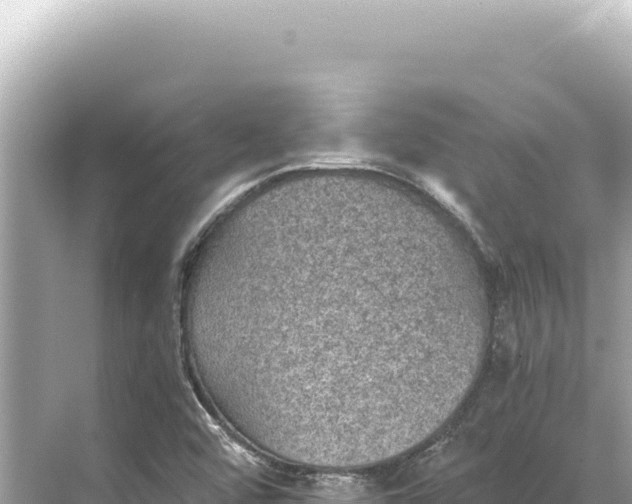 X0000068261456200605051737