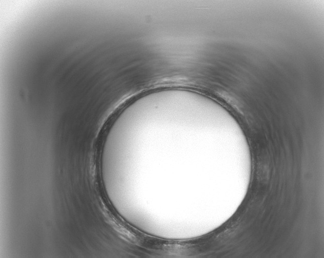 X0000068261458200605051737