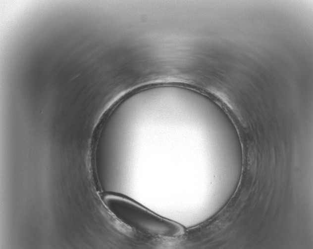 X0000068261460200605051737