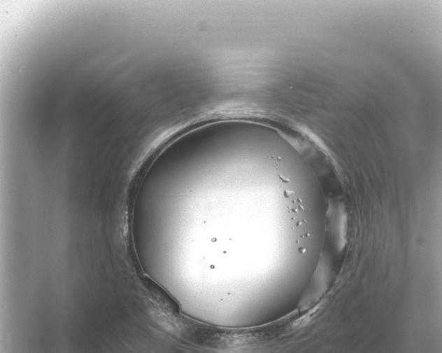 X0000068261461200605051737