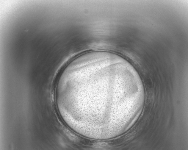 X0000068261462200605051736