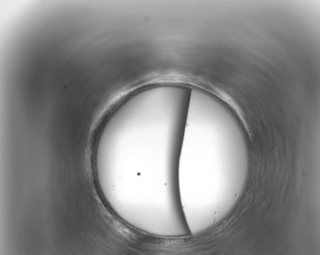 X0000068261464200605051736