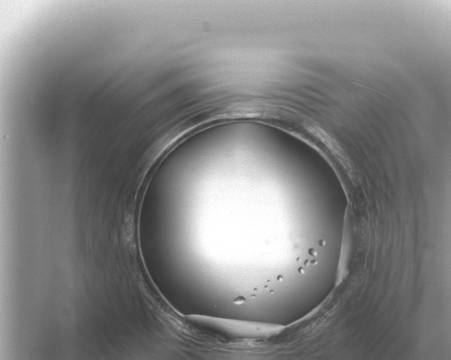 X0000068261465200605051736