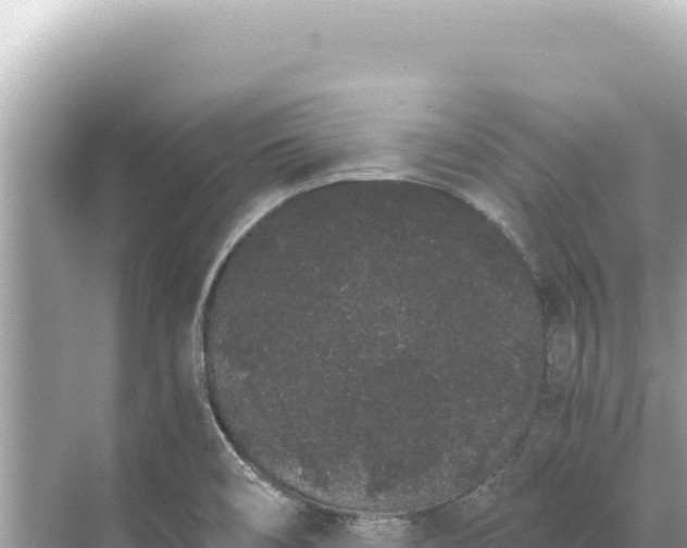 X0000068261466200605051736