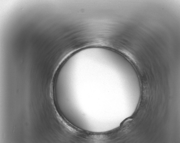 X0000068261468200605051736