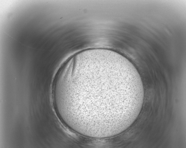 X0000068261470200605051736