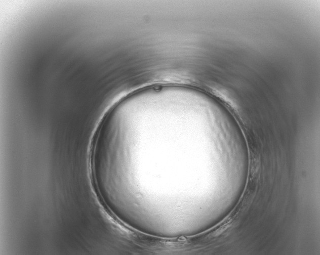 X0000068261471200605051736