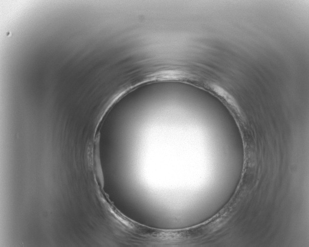 X0000068261473200605051736