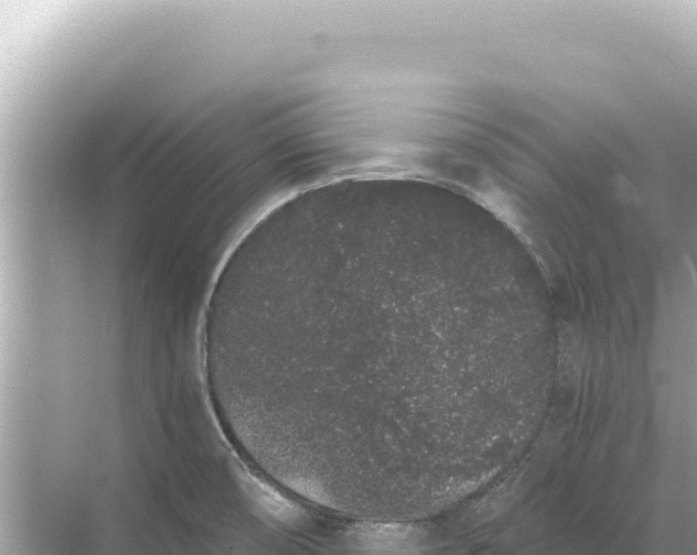 X0000068261474200605051736