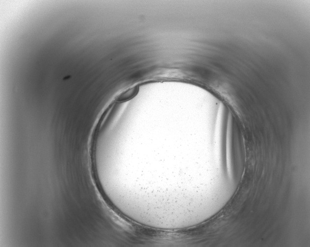 X0000068261475200605051736